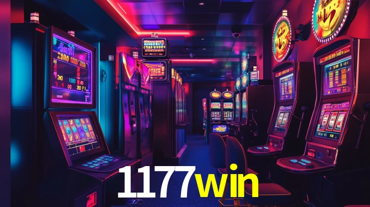1177win App Interface